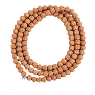 【老树佛手】天然矮桩南瓜玄武纹五爪金龙小金刚菩提子原籽藏式