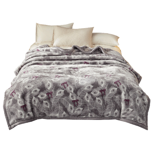 2026新款拉舍尔毛毯冬季加厚盖毯床上用双面绒毯子午睡保暖绒被子