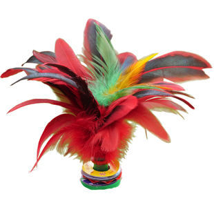 毽子儿童小学专用鸡毛毽子小学生耐踢幼儿园毽球比赛专用腱子带绳