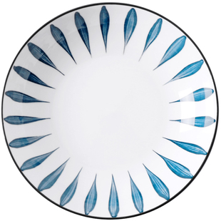 2个陶瓷盘子6.9元网红日式复古风深盘家用加深菜盘饭盘组合可微波