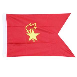 少先队队旗手持中国少年先锋队队旗中队旗手拿小学生少先队员队旗