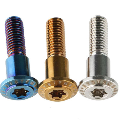 不锈钢瑞祖玛加长碟盘螺丝内梅花