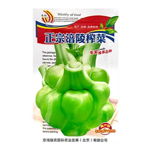 特大榨菜种子涪陵榨菜叶用茎用芥菜种子疙瘩菜耐寒耐抽薹蔬菜种子