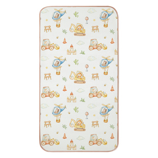 幼儿园凉席宝宝午睡专用冰丝席子夏季儿童草席婴儿床双面藤席定制