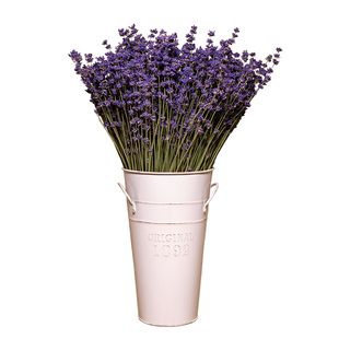 薰衣草干花粒熏衣草干花散装天然衣柜香薰汽车香包枕头助眠新疆