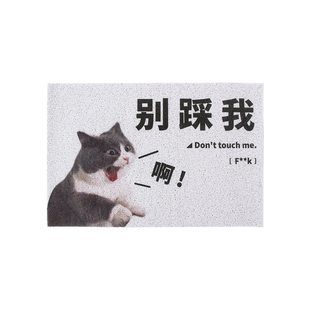别踩我地垫进门门玄关入户门口丝圈脚垫搞笑地毯