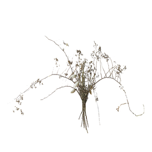 山归来套装干树枝天然植物创意高级插花卧室客厅桌面摄影