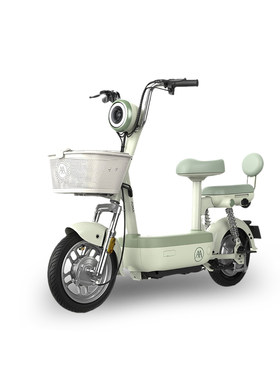 【物流发货】爱玛新国标小金豆电动车48V21A/13A石墨烯电动车