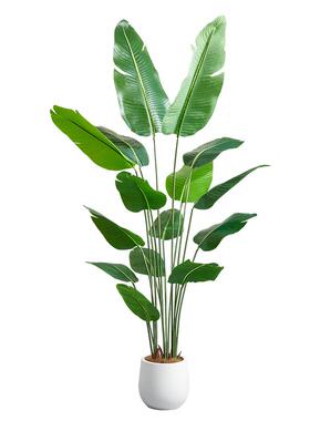 天堂鸟仿真绿植高端轻奢盆栽摆件