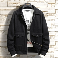 913 черный (плюс бархат)