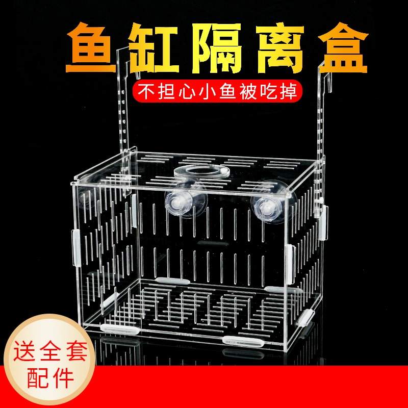鱼缸隔离盒孔雀鱼繁殖盒乌龟苗小鱼苗幼鱼产房亚克力孵化盒定制