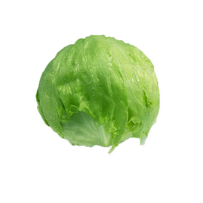 【槿馐】球生菜18斤装汉堡新鲜现采蔬菜沙拉食材轻食球形圆西生菜