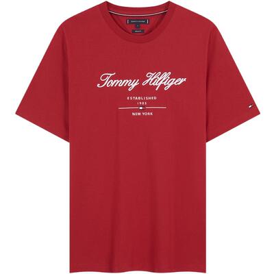 Tommy男装纯棉艺术体刺绣短袖