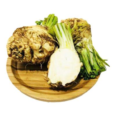 根芹苗子根芹秧苗大疙瘩老桩种球