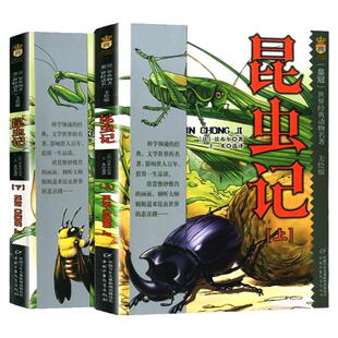 全2册 昆虫记三年级必 读法布尔美绘版 四年级正版书上下册合集小学版全集彩绘版昆虫记中国少年儿童出版社原版小学生课外阅读书籍