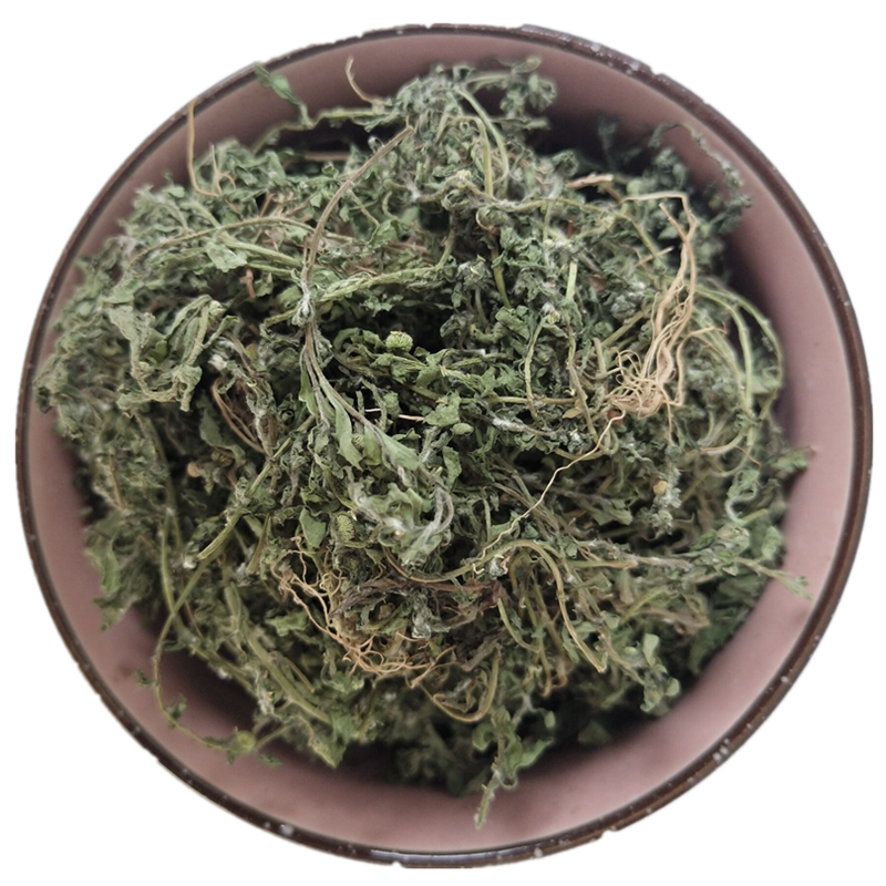 野中药材新鲜鹅不食草