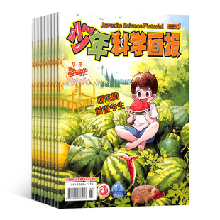 少年科学画报杂志 2026年3月起订 杂志铺 1年共12期 少年儿童科学技术知识思维动手创造益智能力杂志 少儿科普期刊 全年订阅