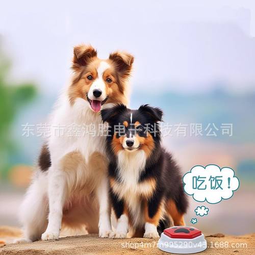 录音宠物互动训练狗按钮宠物发声狗说话录音发声器玩具按键训练