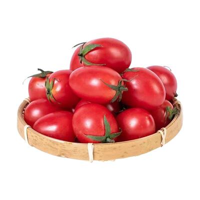 千禧圣女果苗秧苗盆栽矮生小番茄种籽南方阳台水果蔬菜植物种子孑