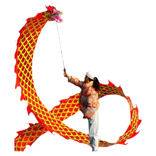 舞龙表演道具彩带健身新款中国手甩龙广场舞飘带甩龙成人龙头耍龙