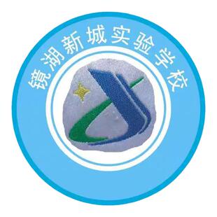 芜湖镜湖新城实验小学 中小学校徽章校服刺绣圆标肩章胸标 现货