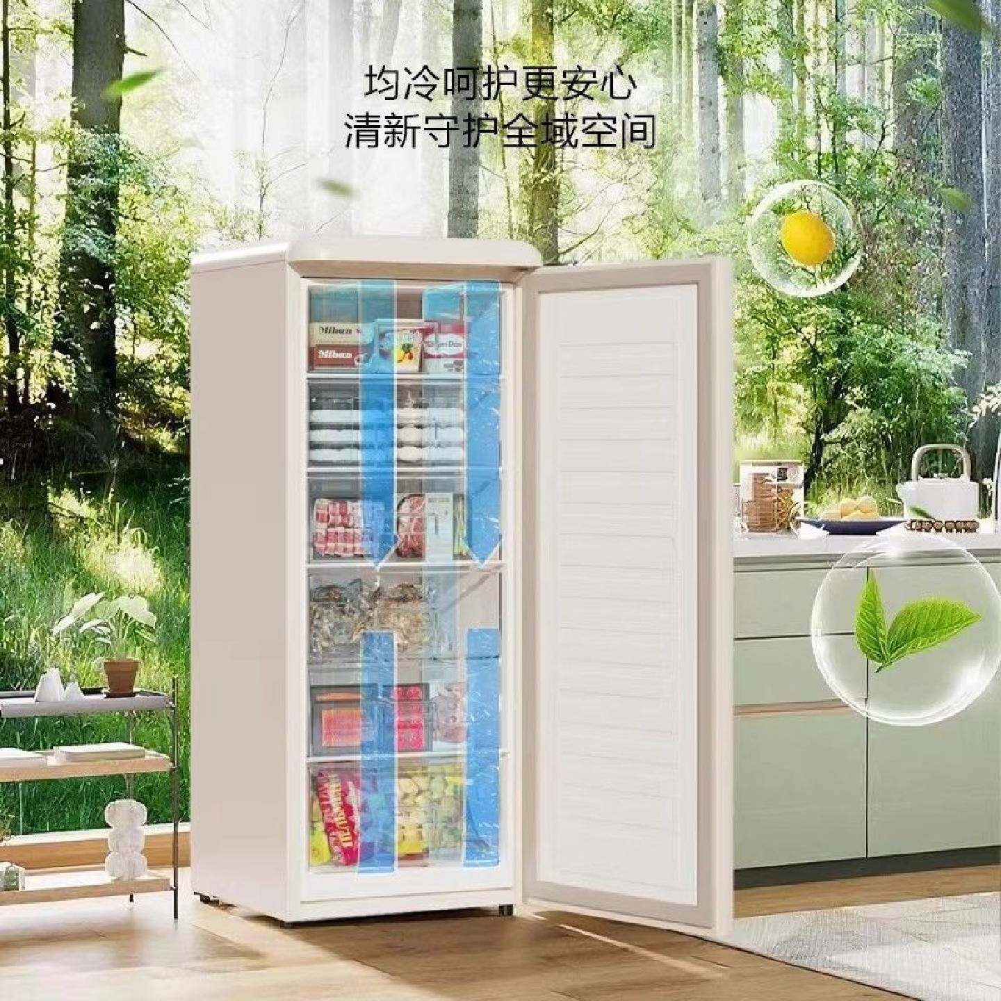 志高冰柜立式冷柜小型家用大容量全冷冻侧开门省电节能一级能效
