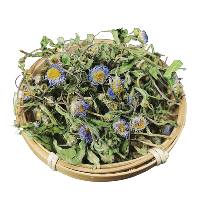 灯盏花云南红河今年新货