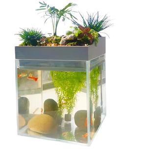 2025沼泽过滤懒人免换水桌面生态造景小型自循环书桌办公桌小鱼缸