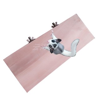 实木密袋鼠窝宠物玩具跳台小型动物秋千蜜袋鼯用品专用吊床桉树枝