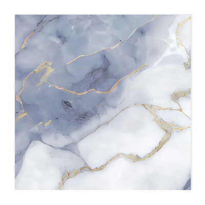 600x600奢石瓷砖通体亮光地砖