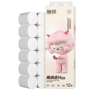丽邦卷纸5层加厚12卷！680g