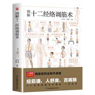 全新正版 图解十二经络调筋术 十二经筋疏通法全图解 一学就会 50种经筋病症的康复训练 12种经筋功用介绍 中医养生穴位按摩推拿书