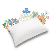 日本单人五星级酒店羽绒枕