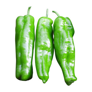 特大牛角椒种子苗阳台盆栽金玉大果大青椒辣椒种籽春秋季蔬菜种孑