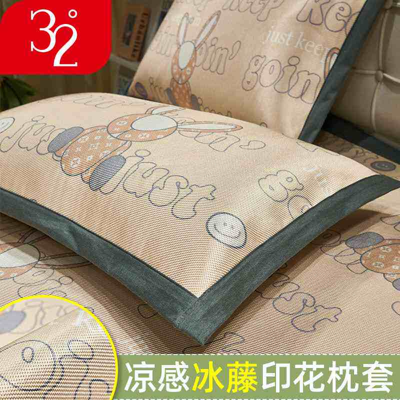 凉枕头套2025新款枕头套夏季一对套丝装冰枕套48x74cm卡通枕芯单
