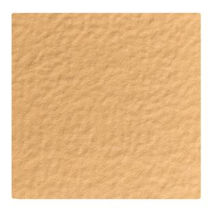 通体广场砖200x200人行道地砖 户外屋面天台花园庭院耐磨防滑瓷砖