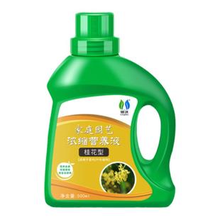 桂花树肥料专用肥营养液植物枯叶病叶子焦尖移栽通用金桂银桂花肥