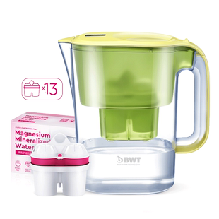 德国BWT净水壶4.2L净水器家用自来水净化滤水壶伴手礼年会小礼品