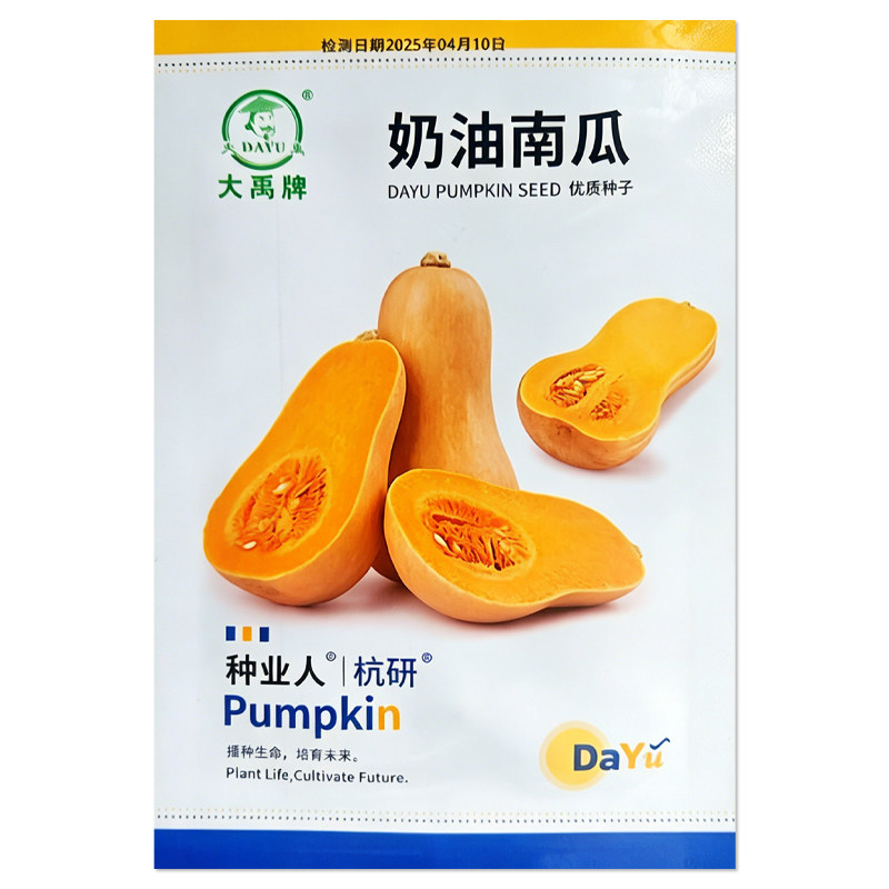 奶油南瓜种子蔬菜种子