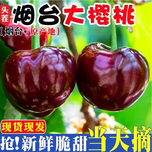 美早脆甜烟台大樱桃新鲜水果车厘子孕妇应季整箱礼盒