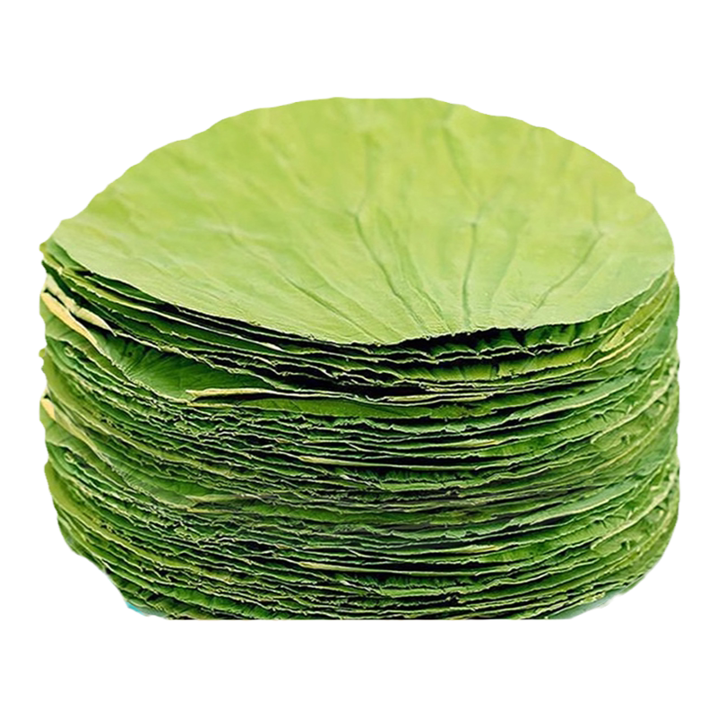 圆形荷叶整张干荷叶蒸笼蒸糯米饭