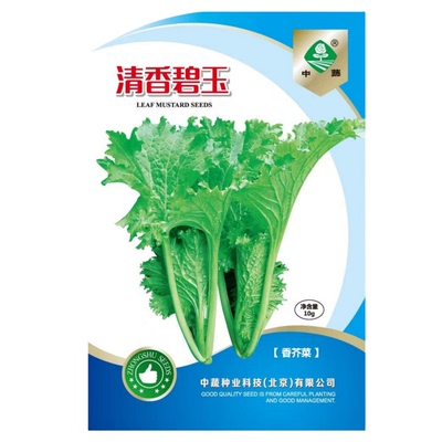 清香碧玉叶用芥菜种子