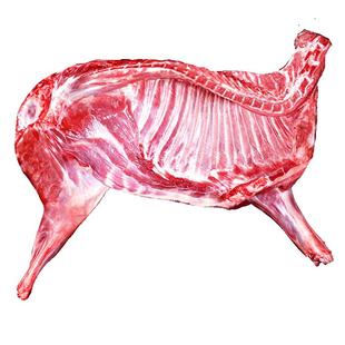 生羊肉鲜杀羊腿羊排羊蝎子烤全羊半只羊内蒙古10斤整只年货非礼盒