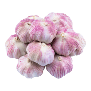 山东金乡大蒜头干蒜紫皮批发新鲜蔬菜蒜瓣蒜农家自提生鲜当季自种