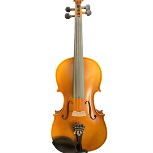 畅想初学者入门手工实木考级演奏级小提琴自学小提琴练习小提琴