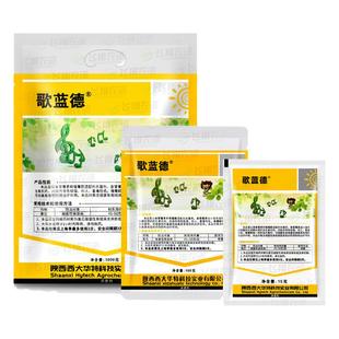 歌蓝德8%春雷噻霉酮 黄瓜细菌性角斑病霜霉病溃疡病农药杀菌剂15g