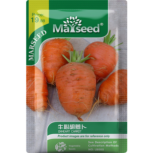 【新品推荐】进口超级牛心胡萝卜新鲜多产蔬菜清脆好吃种子籽孑