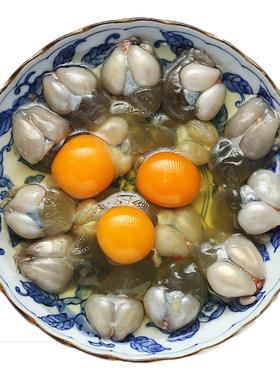 宁波特产新鲜腌制墨鱼蛋