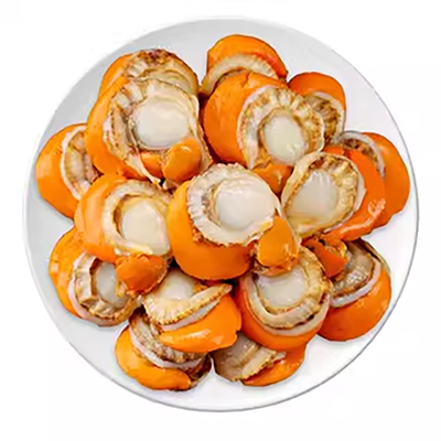 新鲜扇贝肉无冰特大冷冻内脏烧烤