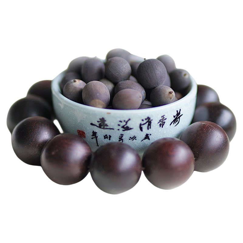 非栽培季节周劲松精选碗莲种子籽